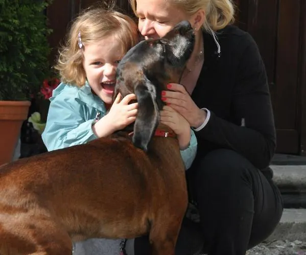 Kamienica Ogrodowa Appartement *