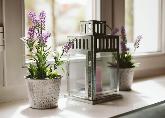 Appartement Kamienica Ogrodowa *